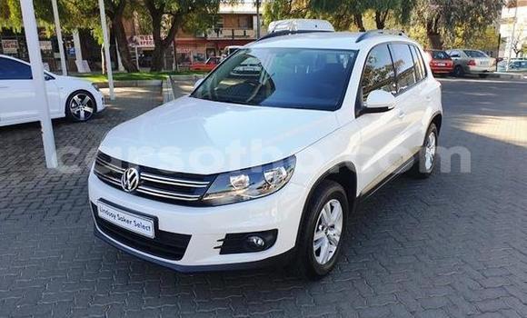 اشتري مستعمل Volkswagen Tiguan White سيارة في Butha–Buthe في Thaba-Tseka اشتري مستعمل Volkswagen Tiguan White سيارة في Butha–Buthe في Thaba-Tseka