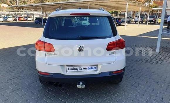 اشتري مستعمل Volkswagen Tiguan White سيارة في Butha–Buthe في Thaba-Tseka اشتري مستعمل Volkswagen Tiguan White سيارة في Butha–Buthe في Thaba-Tseka