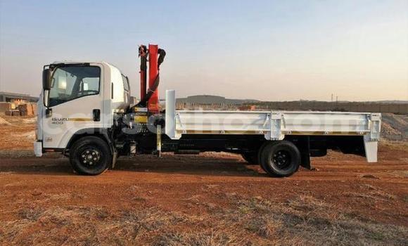 Buy Used Isuzu FTR 850 White Truck in Maputsoa in Leribe Buy Used Isuzu FTR 850 White Truck in Maputsoa in Leribe