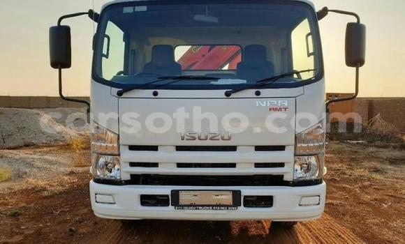 Buy Used Isuzu FTR 850 White Truck in Maputsoa in Leribe Buy Used Isuzu FTR 850 White Truck in Maputsoa in Leribe