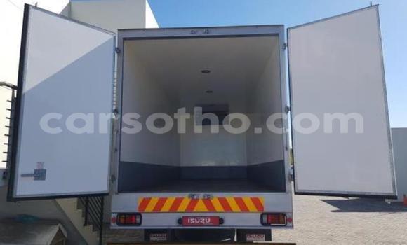 اشتري مستعمل Isuzu FTR 850 White شاحنة في Maseru في Maseru اشتري مستعمل Isuzu FTR 850 White شاحنة في Maseru في Maseru