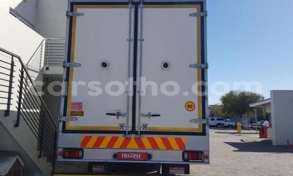 اشتري مستعمل Isuzu FTR 850 White شاحنة في Maseru في Maseru اشتري مستعمل Isuzu FTR 850 White شاحنة في Maseru في Maseru