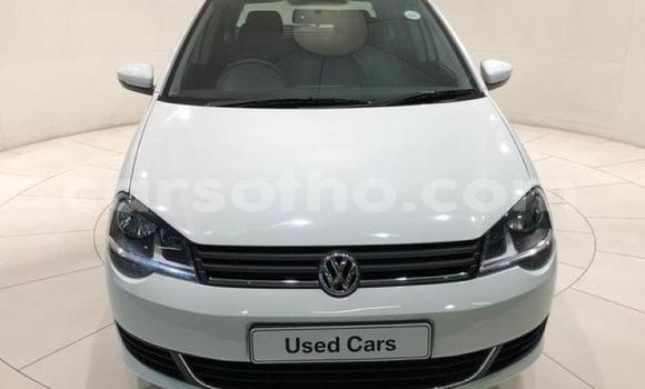 Buy Used Volkswagen Polo White Car in Maseru in Maseru Buy Used Volkswagen Polo White Car in Maseru in Maseru