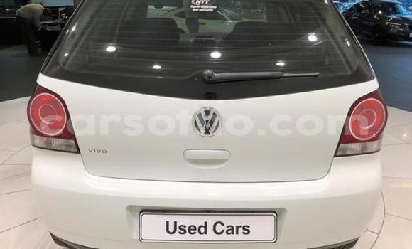 Buy Used Volkswagen Polo White Car in Maseru in Maseru Buy Used Volkswagen Polo White Car in Maseru in Maseru