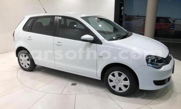 Buy Used Volkswagen Polo White Car in Maseru in Maseru Buy Used Volkswagen Polo White Car in Maseru in Maseru