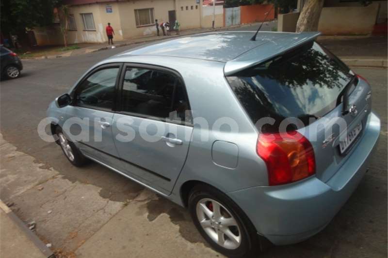 Big with watermark t11