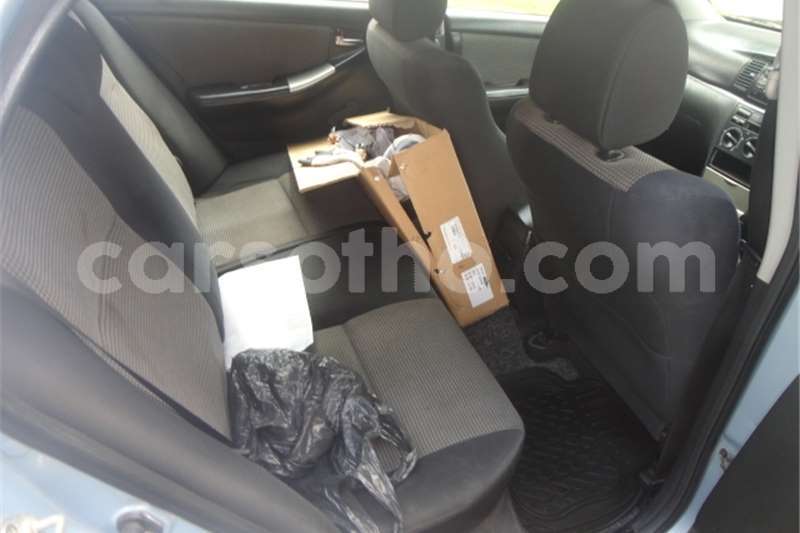 Big with watermark t12