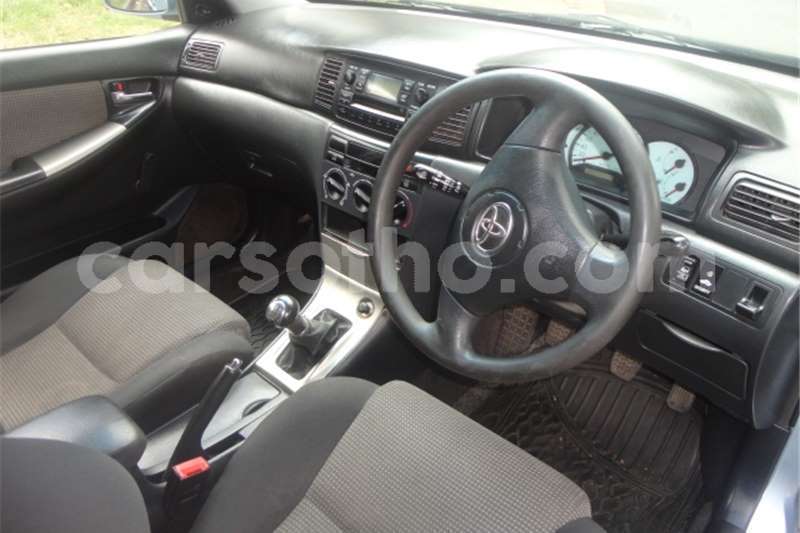 Big with watermark t13