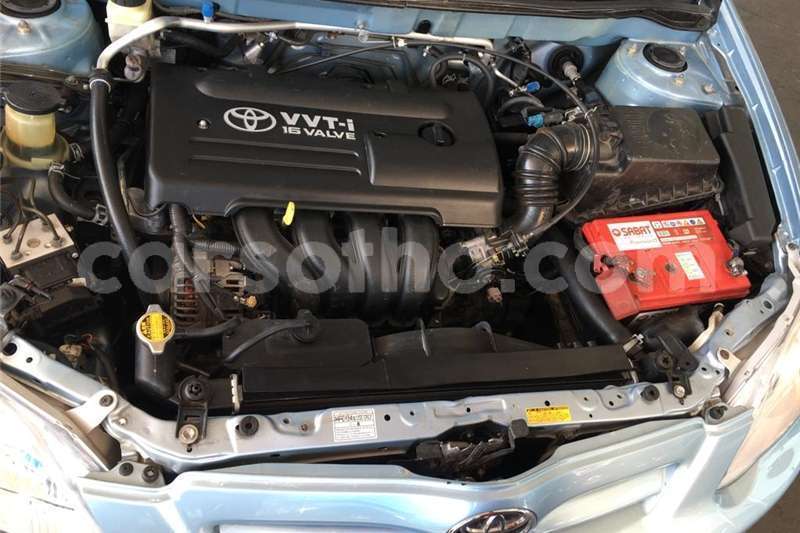 Big with watermark t15