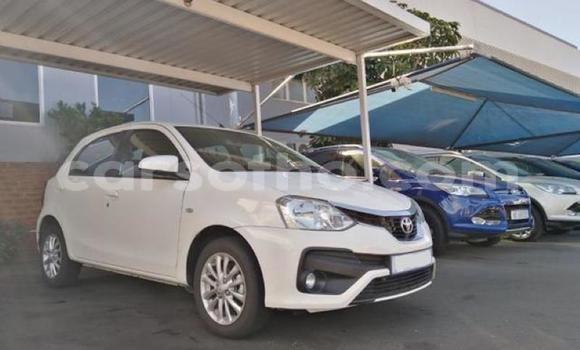 Buy Used Toyota Etios White Car in Maseru in Maseru Buy Used Toyota Etios White Car in Maseru in Maseru
