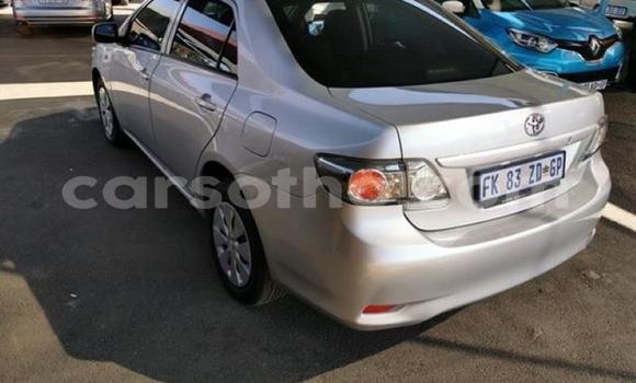 اشتري مستعمل Toyota Corolla Silver سيارة في Maseru في Maseru اشتري مستعمل Toyota Corolla Silver سيارة في Maseru في Maseru