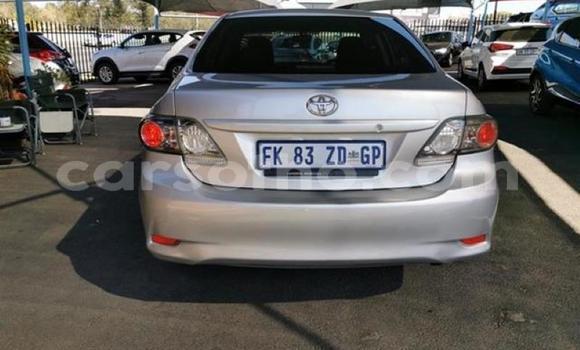 اشتري مستعمل Toyota Corolla Silver سيارة في Maseru في Maseru اشتري مستعمل Toyota Corolla Silver سيارة في Maseru في Maseru