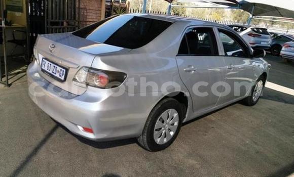 اشتري مستعمل Toyota Corolla Silver سيارة في Maseru في Maseru اشتري مستعمل Toyota Corolla Silver سيارة في Maseru في Maseru