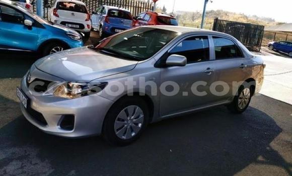 اشتري مستعمل Toyota Corolla Silver سيارة في Maseru في Maseru اشتري مستعمل Toyota Corolla Silver سيارة في Maseru في Maseru