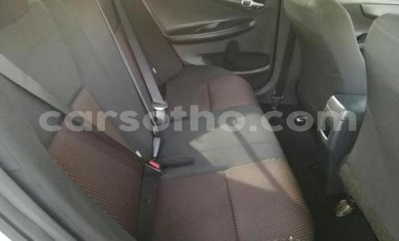 اشتري مستعمل Toyota Corolla Silver سيارة في Maseru في Maseru اشتري مستعمل Toyota Corolla Silver سيارة في Maseru في Maseru
