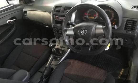 اشتري مستعمل Toyota Corolla Silver سيارة في Maseru في Maseru اشتري مستعمل Toyota Corolla Silver سيارة في Maseru في Maseru