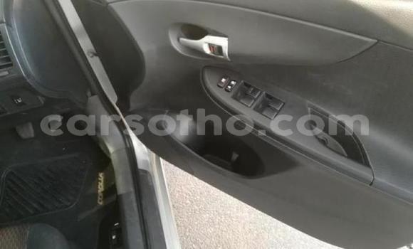 اشتري مستعمل Toyota Corolla Silver سيارة في Maseru في Maseru اشتري مستعمل Toyota Corolla Silver سيارة في Maseru في Maseru