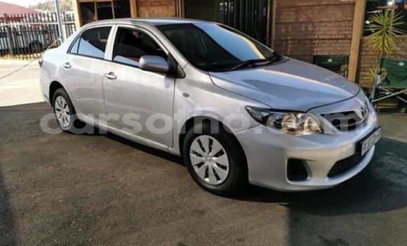 اشتري مستعمل Toyota Corolla Silver سيارة في Maseru في Maseru اشتري مستعمل Toyota Corolla Silver سيارة في Maseru في Maseru