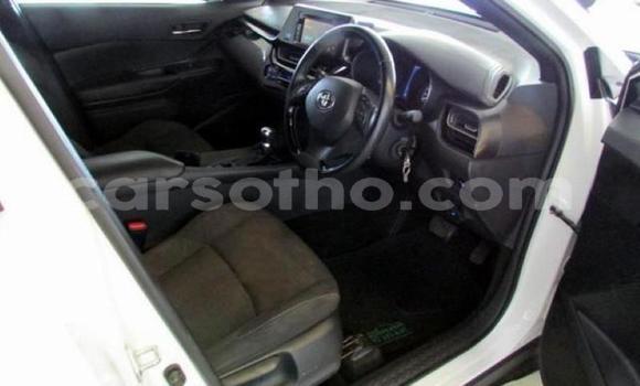 Sayi Na hannu Toyota C-HR White Mota in Maseru a Maseru Sayi Na hannu Toyota C-HR White Mota in Maseru a Maseru