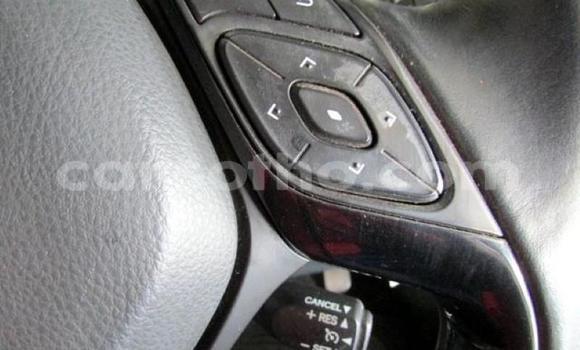 Sayi Na hannu Toyota C-HR White Mota in Maseru a Maseru Sayi Na hannu Toyota C-HR White Mota in Maseru a Maseru