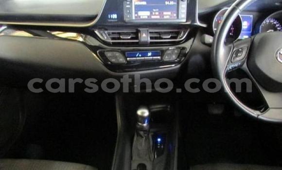 Sayi Na hannu Toyota C-HR White Mota in Maseru a Maseru Sayi Na hannu Toyota C-HR White Mota in Maseru a Maseru