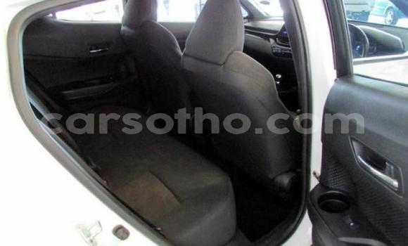 Sayi Na hannu Toyota C-HR White Mota in Maseru a Maseru Sayi Na hannu Toyota C-HR White Mota in Maseru a Maseru