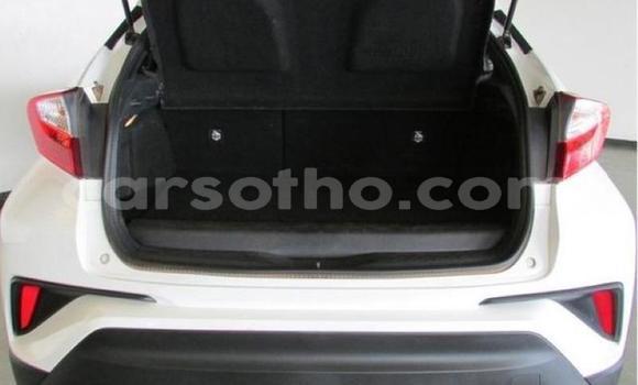Sayi Na hannu Toyota C-HR White Mota in Maseru a Maseru Sayi Na hannu Toyota C-HR White Mota in Maseru a Maseru