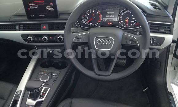 Buy Used Audi A4 White Car in Maseru in Maseru Buy Used Audi A4 White Car in Maseru in Maseru
