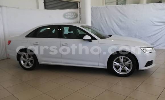 Buy Used Audi A4 White Car in Maseru in Maseru Buy Used Audi A4 White Car in Maseru in Maseru