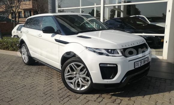Buy Used Land Rover Range Rover Evoque White Car in Maseru in Maseru Buy Used Land Rover Range Rover Evoque White Car in Maseru in Maseru