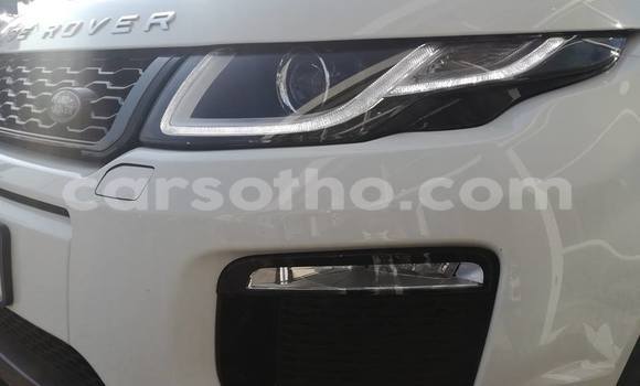 Buy Used Land Rover Range Rover Evoque White Car in Maseru in Maseru Buy Used Land Rover Range Rover Evoque White Car in Maseru in Maseru