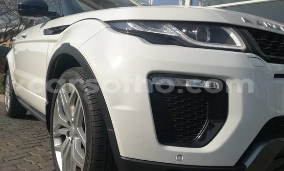 Buy Used Land Rover Range Rover Evoque White Car in Maseru in Maseru Buy Used Land Rover Range Rover Evoque White Car in Maseru in Maseru