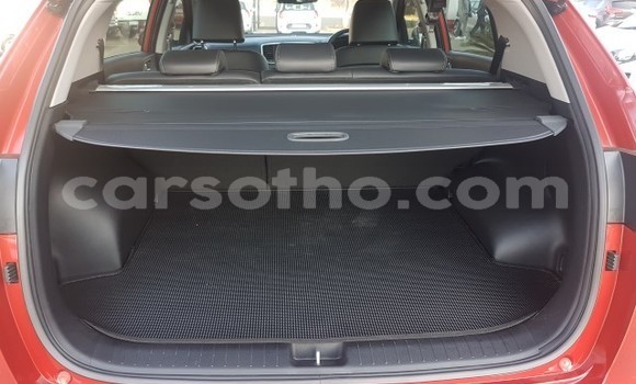 Acheter Occasion Voiture Kia Sportage Rouge à Mohale's Hoek, Mohale's Hoek Acheter Occasion Voiture Kia Sportage Rouge à Mohale's Hoek, Mohale's Hoek