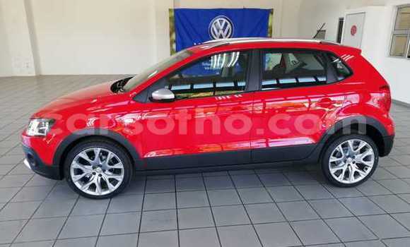 Buy Used Volkswagen Polo Red Car in Maputsoe in Leribe Buy Used Volkswagen Polo Red Car in Maputsoe in Leribe