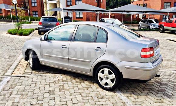 Buy Used Volkswagen Polo Silver Car in Maseru in Maseru Buy Used Volkswagen Polo Silver Car in Maseru in Maseru
