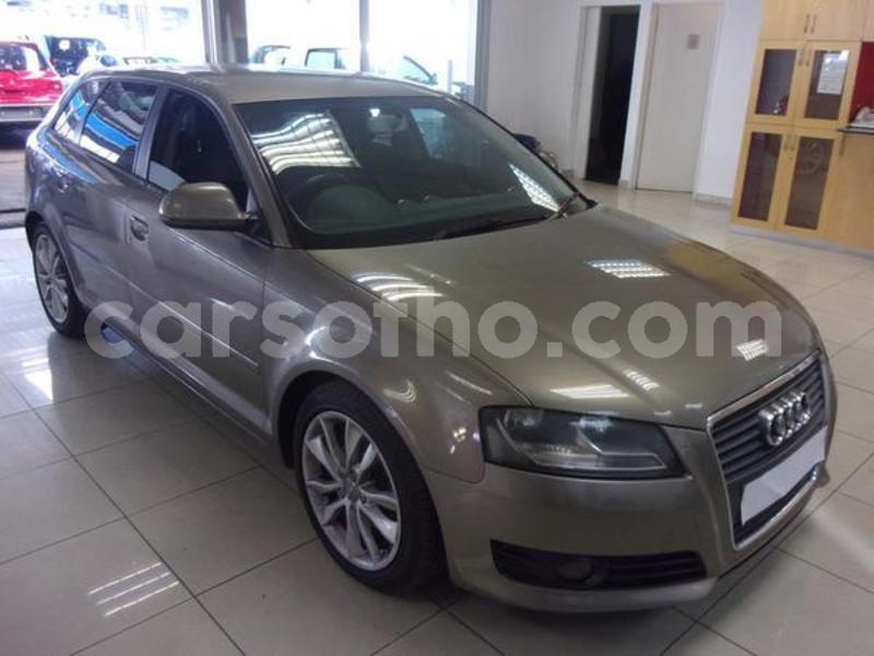 Big with watermark 4422310