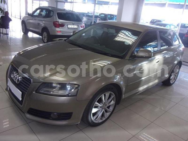 Big with watermark 4422310 2