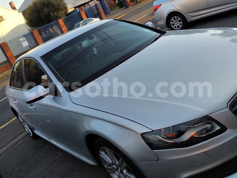 Big with watermark 5003530 3