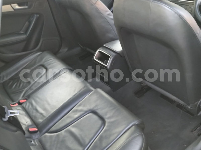 Big with watermark 5003530 7