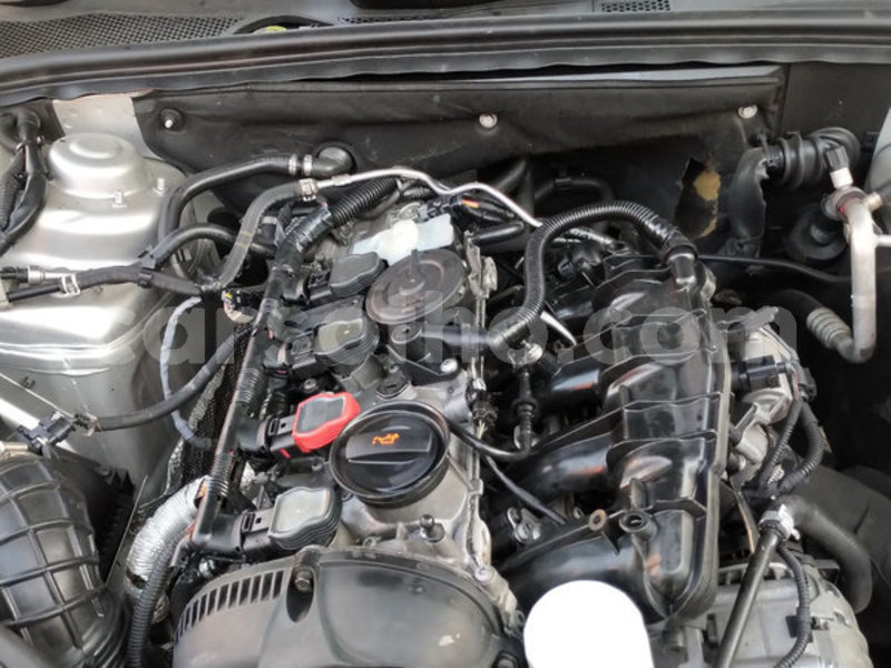 Big with watermark 5003530 8