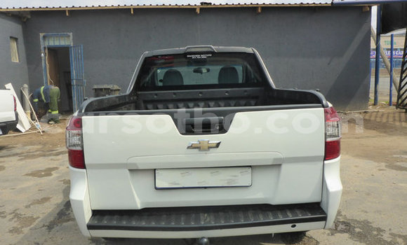 اشتري مستعمل Chevrolet Corsa White سيارة في Maputsoa في Leribe اشتري مستعمل Chevrolet Corsa White سيارة في Maputsoa في Leribe
