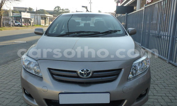 Sayi Na hannu Toyota Corolla Silver Mota in Maseru a Maseru Sayi Na hannu Toyota Corolla Silver Mota in Maseru a Maseru