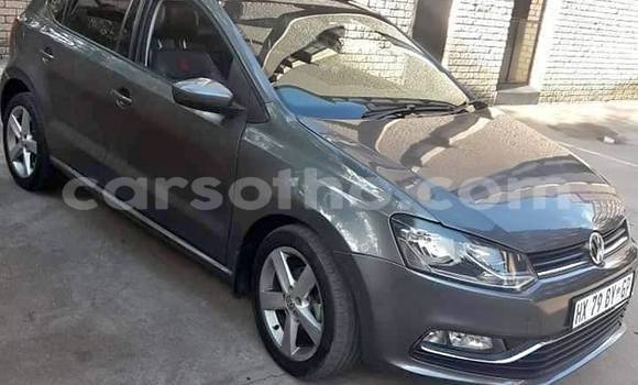Buy Used Volkswagen Polo Silver Car in Maseru in Maseru Buy Used Volkswagen Polo Silver Car in Maseru in Maseru