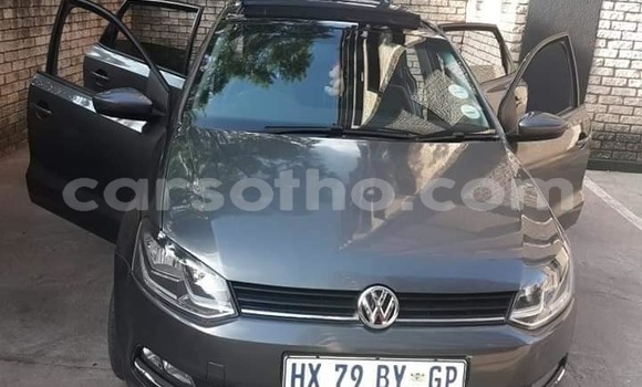 Buy Used Volkswagen Polo Silver Car in Maseru in Maseru Buy Used Volkswagen Polo Silver Car in Maseru in Maseru