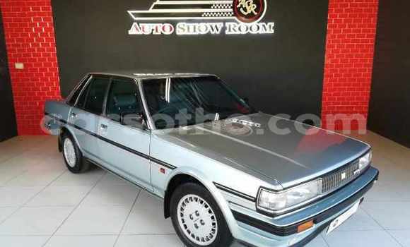 Acheter Occasion Voiture Toyota Cressida Bleu à Maputsoe, Leribe Acheter Occasion Voiture Toyota Cressida Bleu à Maputsoe, Leribe