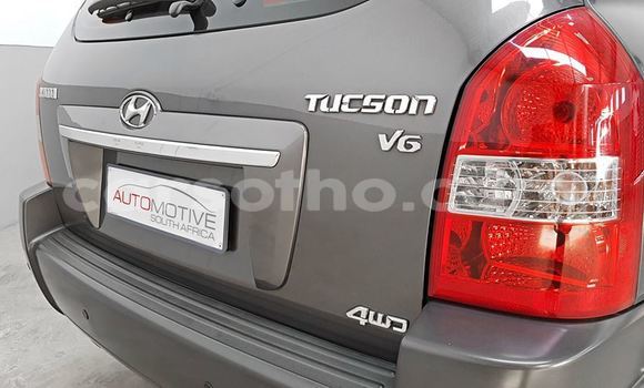 Acheter Occasion Voiture Hyundai Tucson Gris à Maputsoa, Leribe Acheter Occasion Voiture Hyundai Tucson Gris à Maputsoa, Leribe
