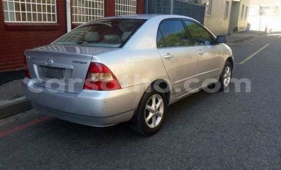 Acheter Occasion Voiture Toyota Corolla Gris à Maseru, Maseru Acheter Occasion Voiture Toyota Corolla Gris à Maseru, Maseru