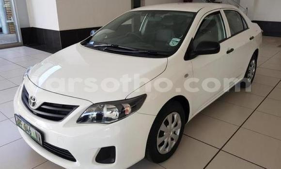 Sayi Na hannu Toyota Corolla White Mota in Maseru a Maseru Sayi Na hannu Toyota Corolla White Mota in Maseru a Maseru