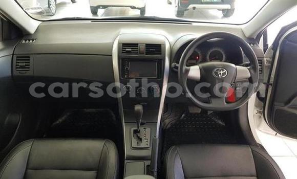 Sayi Na hannu Toyota Corolla White Mota in Maseru a Maseru Sayi Na hannu Toyota Corolla White Mota in Maseru a Maseru