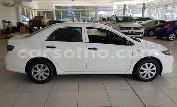 Sayi Na hannu Toyota Corolla White Mota in Maseru a Maseru Sayi Na hannu Toyota Corolla White Mota in Maseru a Maseru